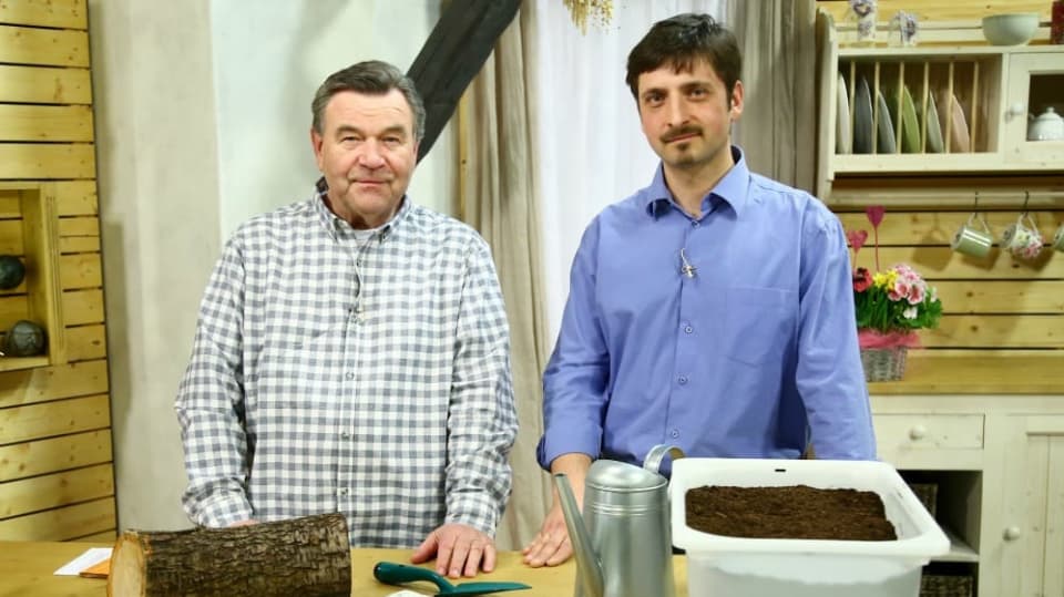 Pan Vlastimil Šavelka přišel na to jak pěstovat hlívu i na slunci